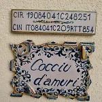 Cocciu D'amuri *