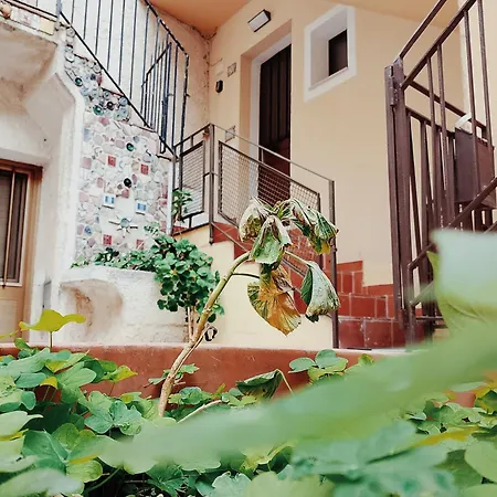 Apartment Cocciu D'amuri